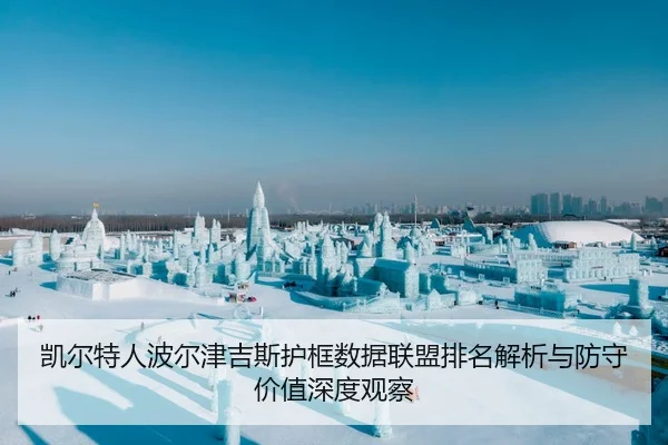 凯尔特人波尔津吉斯护框数据联盟排名解析与防守价值深度观察